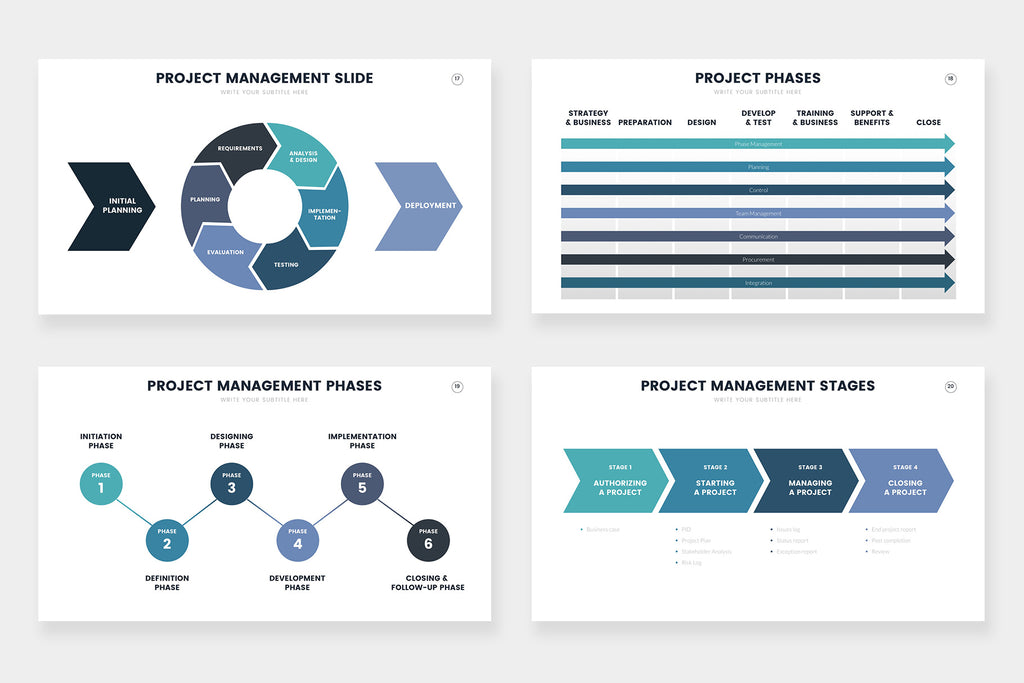 Project Management Infographics